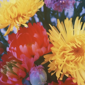 女人高潮叫床全毛A片App
